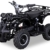 Kinder Elektro Miniquad Torino 800 Watt (Schwarz) -