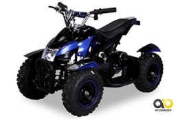 Mini Elektro Kinder ATV Cobra 800 Watt Pocket Quad (blau) -