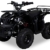 Kinder Elektro Quad S-8 Farmer 1000 Watt Miniquad schwarz - 1