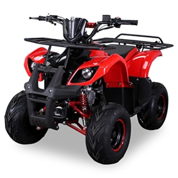 Kinder Quad S-8 Farmer 125 cc Motor Toronto