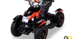 Actionbikes Motors Kinder Quad Elektro ATV Cobra 800 Watt 36 Volt (Grau/Schwarz)