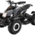 Actionbikes Motors Kinder Quad Elektro ATV Cobra 800 Watt 36 Volt (Grau/Schwarz)