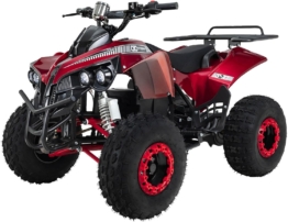 Actionbikes Motors S-10 Midiquad 1000 Watt 48 Volt Kinderquad - Ansicht 1