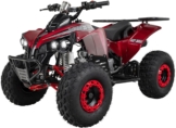 Actionbikes Motors Midiquad S-10 125ccm Kinderquad in Seitenansicht
